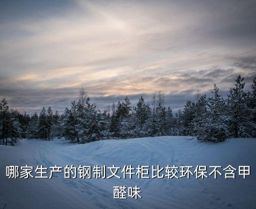 哪家生产的钢制文件柜比较环保不含甲醛味