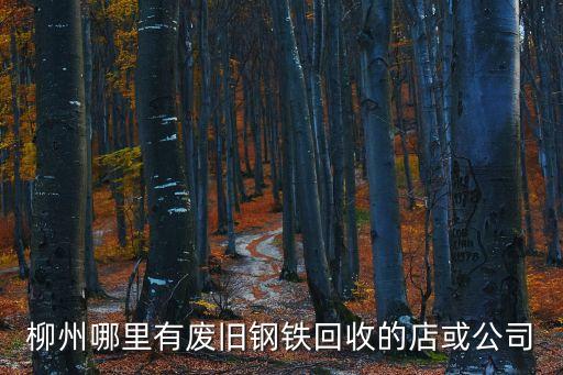 柳州哪里有废旧钢铁回收的店或公司