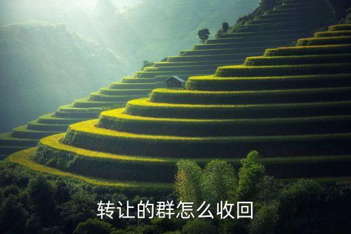 回收微信群，转让的群怎么收回