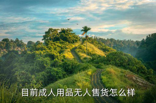 目前成人用品无人售货怎么样