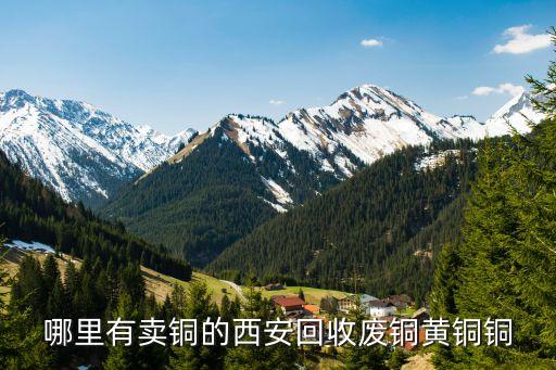 哪里有废旧铜回收，全国最出名的废铜回收集散地在哪