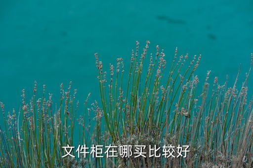 文件柜在哪买比较好