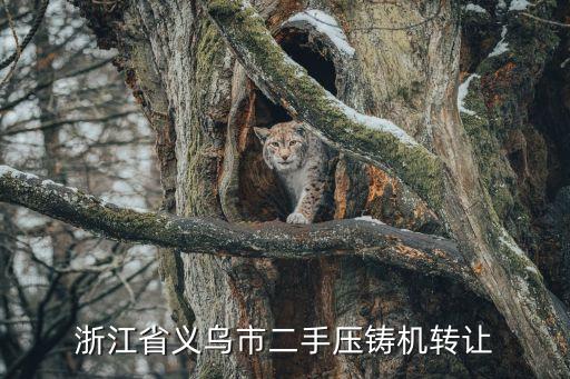 浙江省义乌市二手压铸机转让