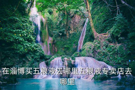 在淄博买五粮液去哪里五粮液专卖店去哪里