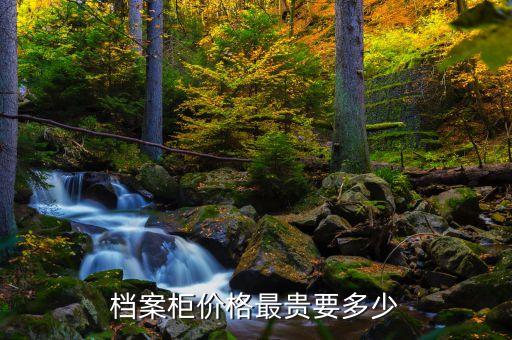 档案柜价格最贵要多少