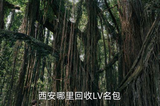 西安哪里回收LV名包