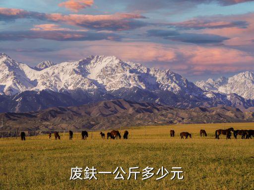 废鈇一公斤多少元