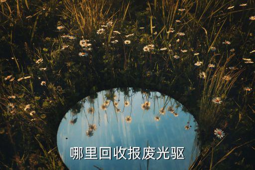 旧光碟回收网，旧的CD盘有没有回收的地方