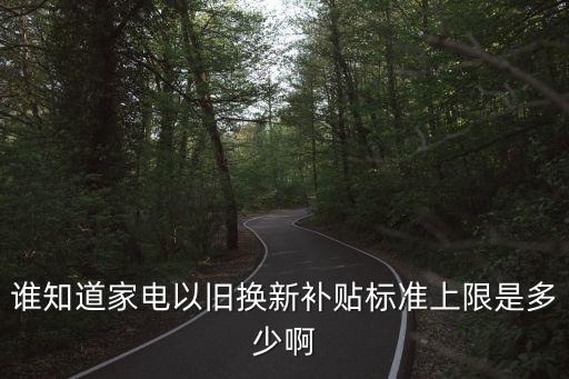 谁知道家电以旧换新补贴标准上限是多少啊