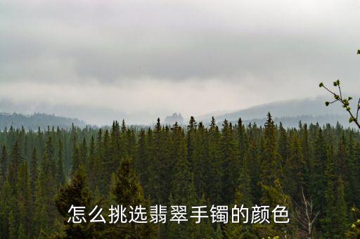 翡翠手镯什么颜色的最好，翡翠手镯什么颜色好翡翠颜色的好坏