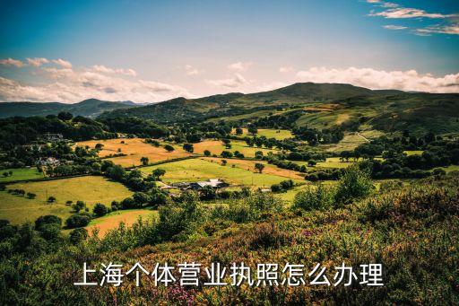 上海个体营业执照怎么办理