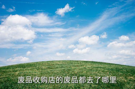 武汉废品收购站的东西都卖哪去了，废品收购店的废品都去了哪里