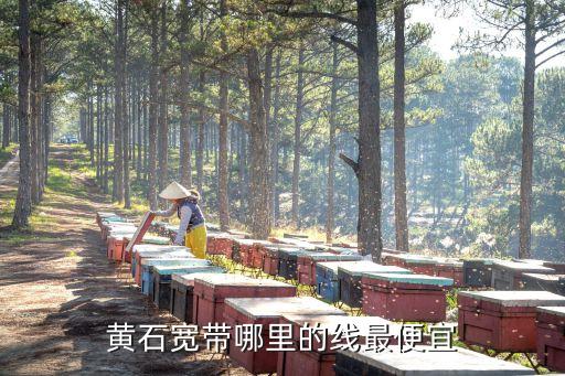 黄石电缆回收，黄石火力发电厂煤灰销售联系电话是多少