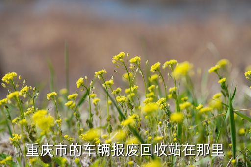 重庆市的车辆报废回收站在那里