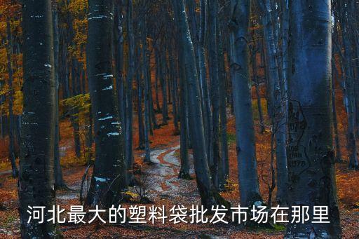 河北最大的塑料袋批发市场在那里