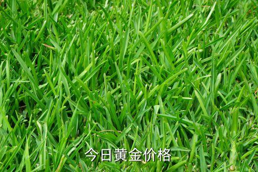国际黄金今天金价多少钱一克，今日黄金价多少