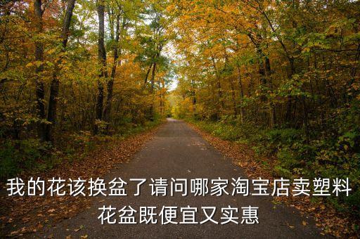 塑料花盆批发厂家哪里便宜，批发花盆哪里便宜