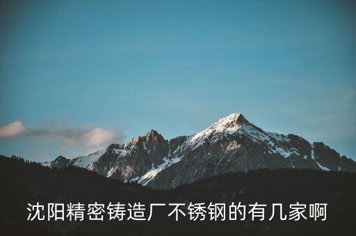 沈阳精密铸造厂不锈钢的有几家啊