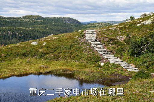 重庆二手家电市场在哪里啊，重庆朝天门的二手家电市场在哪个位置呀