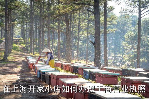 上海个体工商户如何注册，上海个体营业执照怎么办理