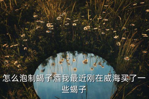 怎么泡制蝎子酒我最近刚在威海买了一些蝎子