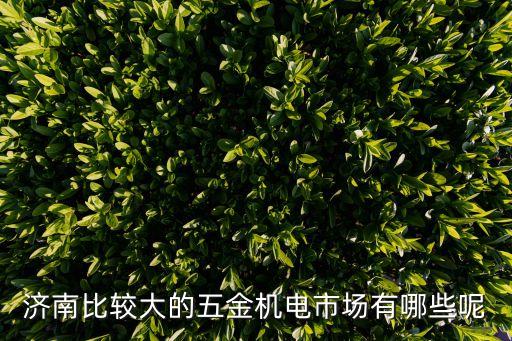山东五金批发市场最大最齐全的，青岛和济南有几个最大的五金机电城