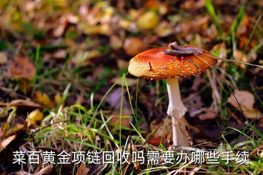 菜百首饰回收，菜百黄金项链回收吗需要办哪些手续