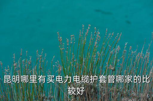 晋城电缆回收，昆明哪里有买电力电缆护套管哪家的比较好