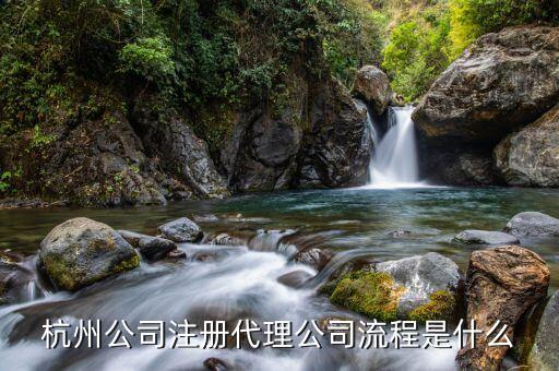 杭州公司注册代理注册，杭州代理注册公司求推荐