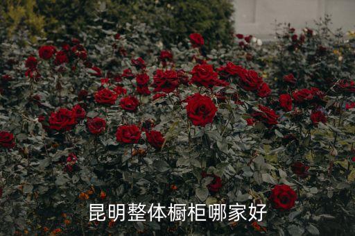 昆明整体橱柜哪家好