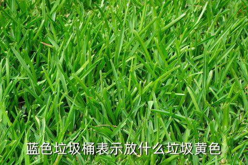蓝色垃圾桶表示放什么垃圾黄色