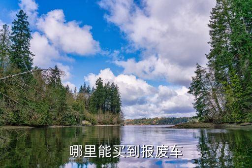 哪里能买到报废车