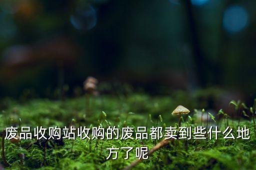 做废品回收后卖到哪里去了，废品收购站收购的废品都卖到些什么地方了呢