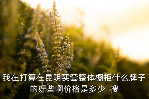 昆明橱柜定制哪家最好，我在打算在昆明买套整体橱柜什么牌子的好些啊价格是多少  搜