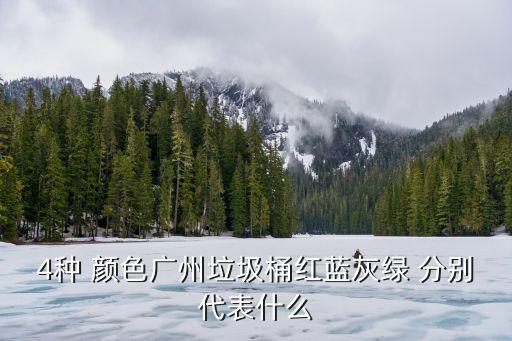 4种 颜色广州垃圾桶红蓝灰绿 分别代表什么