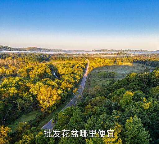 批发花盆哪里便宜